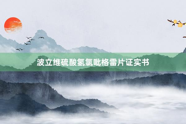 波立维硫酸氢氯吡格雷片证实书