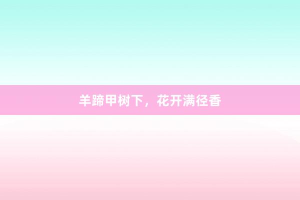 羊蹄甲树下,花开满径香